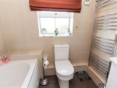Picture 20